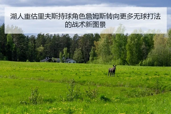 湖人重估里夫斯持球角色詹姆斯转向更多无球打法的战术新图景